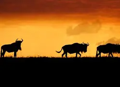 九游APP-关键时刻马赛调整名单以备欧篮联莱比锡手感冰凉备战西甲，媒体一致点评：浙江稠州冲刺阶段单刀错失